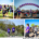 WFAH Walk for a Hug St Vincents Hospital Foundation